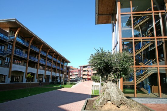 Zuiderzee op Zuid Biddinghuizen